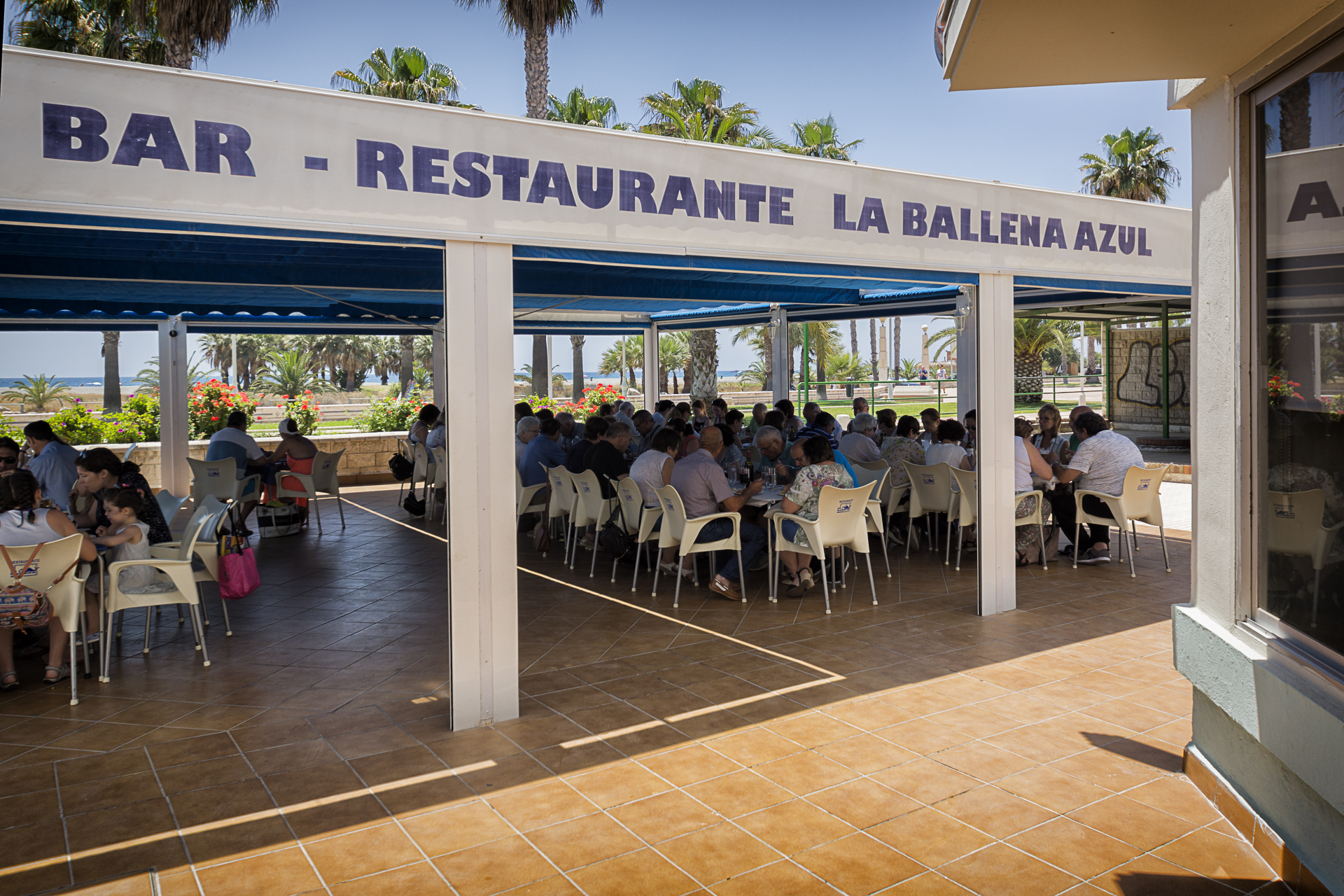 Imagenes Cabecero de Inicio para Restaurante La Ballena Azul en Motril (Granada)